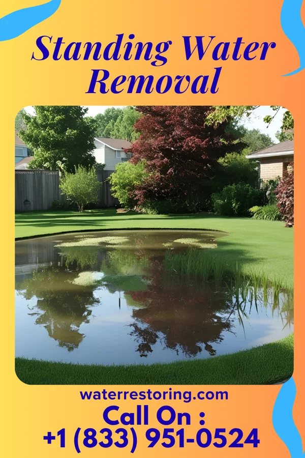 Standing Water Removal in Ruthton, MN